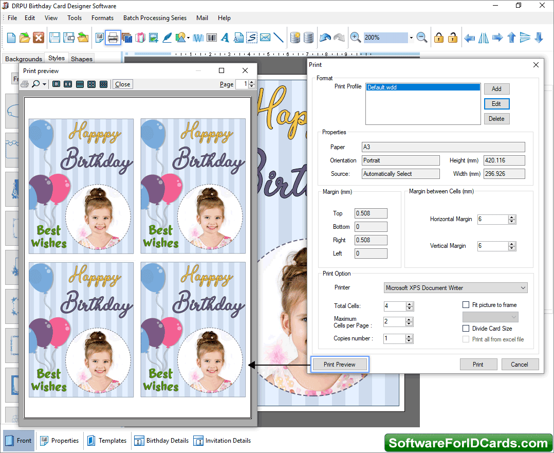 Set Print Format Set Print Format